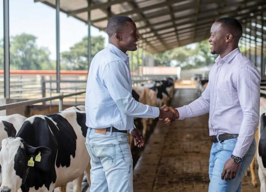 two-african-men-shaking-hands two-african-men-shaking-hands
